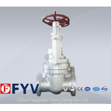 Pn 150-900 Carbon Steel Cryogenic Globe Valve